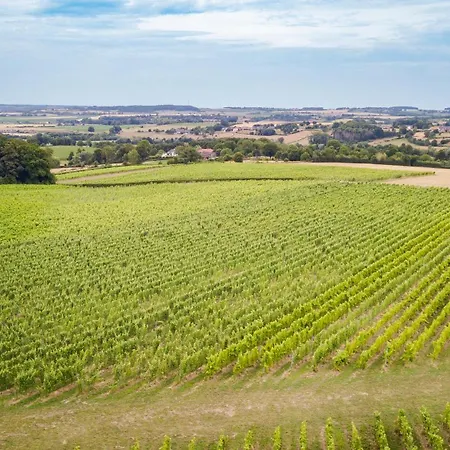 Loess Wijnhotel En Smaaklokaal Vijlen