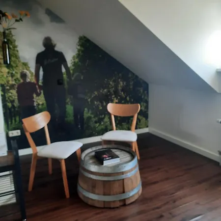 Otel Loess Wijnhotel En Smaaklokaal Vijlen