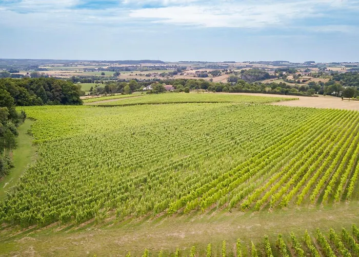 Loess Wijnhotel En Smaaklokaal Vijlen