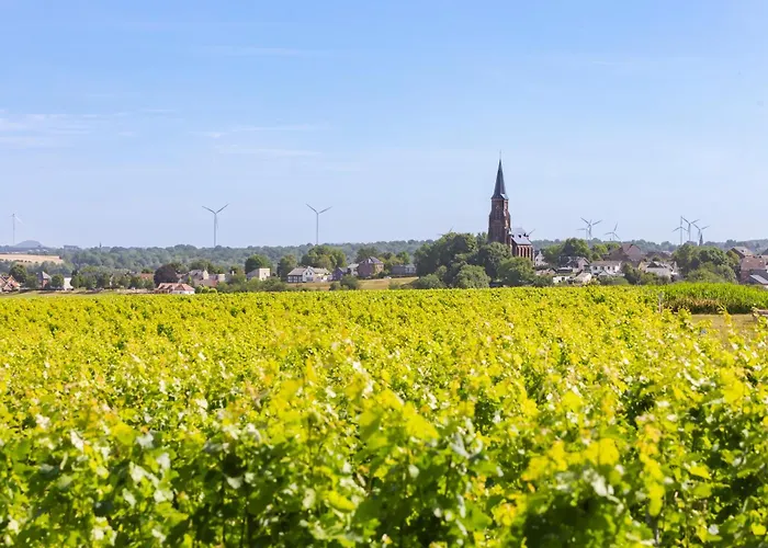 Loess Wijnhotel En Smaaklokaal Hotel