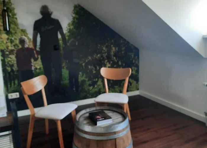 Hotel Loess Wijnhotel En Smaaklokaal Vijlen